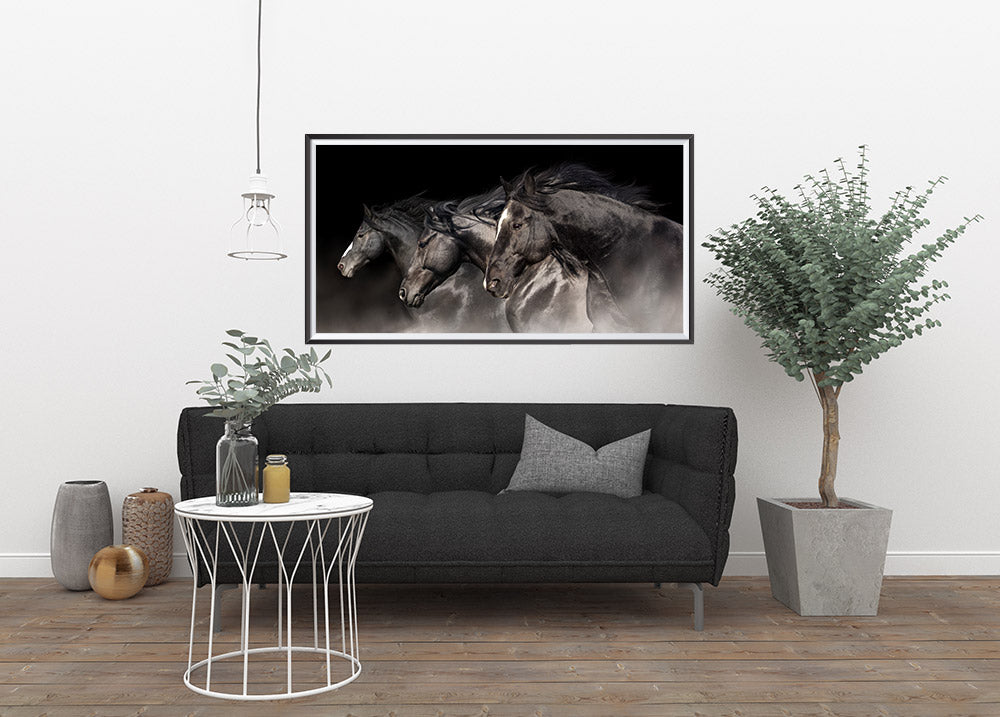 3 Blacks, Elegant Black White Red Sport Horses ambiance display photo sample