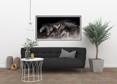 3 Blacks, Elegant Black White Red Sport Horses ambiance display photo sample