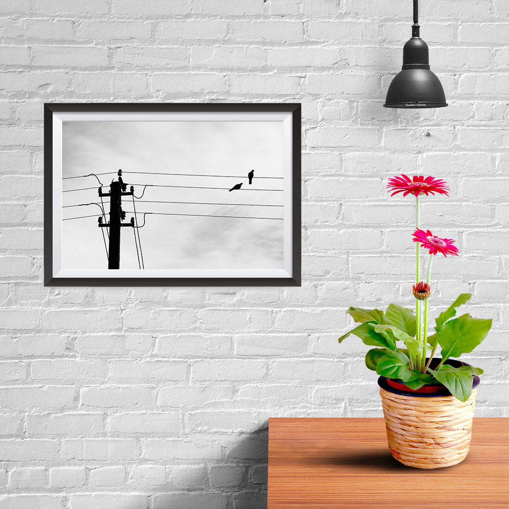 Ezposterprints - Birds On Wires - 12x08 ambiance display photo sample