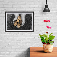 Ezposterprints - Freshly Dug Potatoes - 12x08 ambiance display photo sample