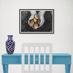 Ezposterprints - Freshly Dug Potatoes - 18x12 ambiance display photo sample
