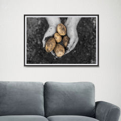 Ezposterprints - Freshly Dug Potatoes - 24x16 ambiance display photo sample