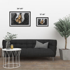Ezposterprints - Freshly Dug Potatoes ambiance display photo sample