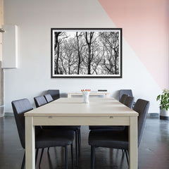Ezposterprints - Leafless Trees - 48x32 ambiance display photo sample