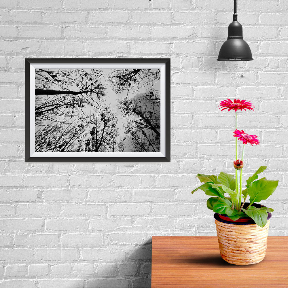 Ezposterprints - Looking Up - 12x08 ambiance display photo sample