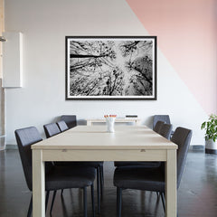 Ezposterprints - Looking Up - 48x32 ambiance display photo sample