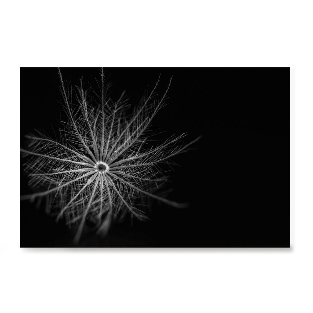 Ezposterprints - Macro Flower