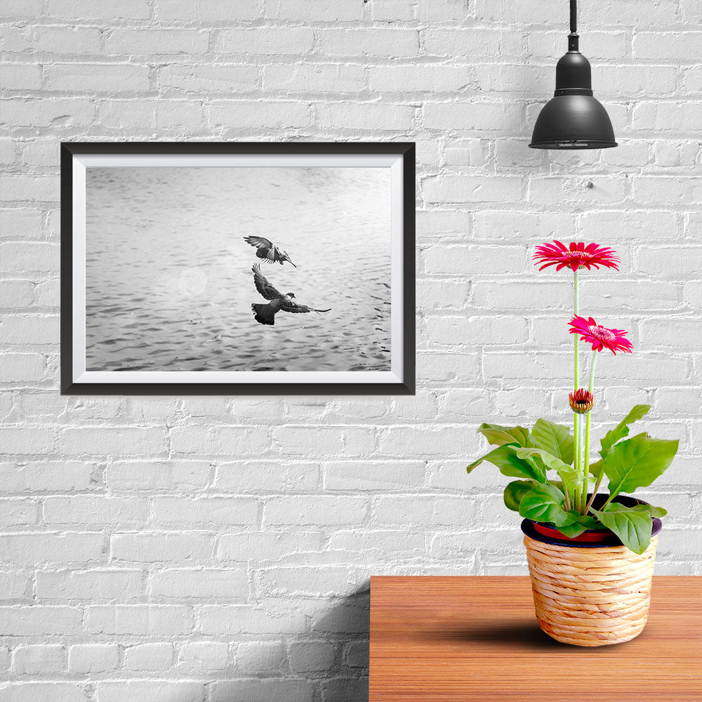 Ezposterprints - Pigeons Flying - 12x08 ambiance display photo sample
