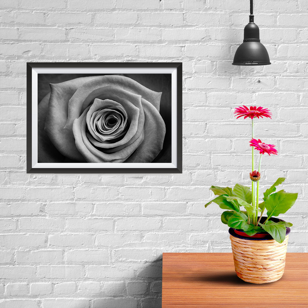 Ezposterprints - Rose - 12x08 ambiance display photo sample