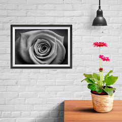 Ezposterprints - Rose - 12x08 ambiance display photo sample