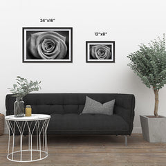Ezposterprints - Rose ambiance display photo sample