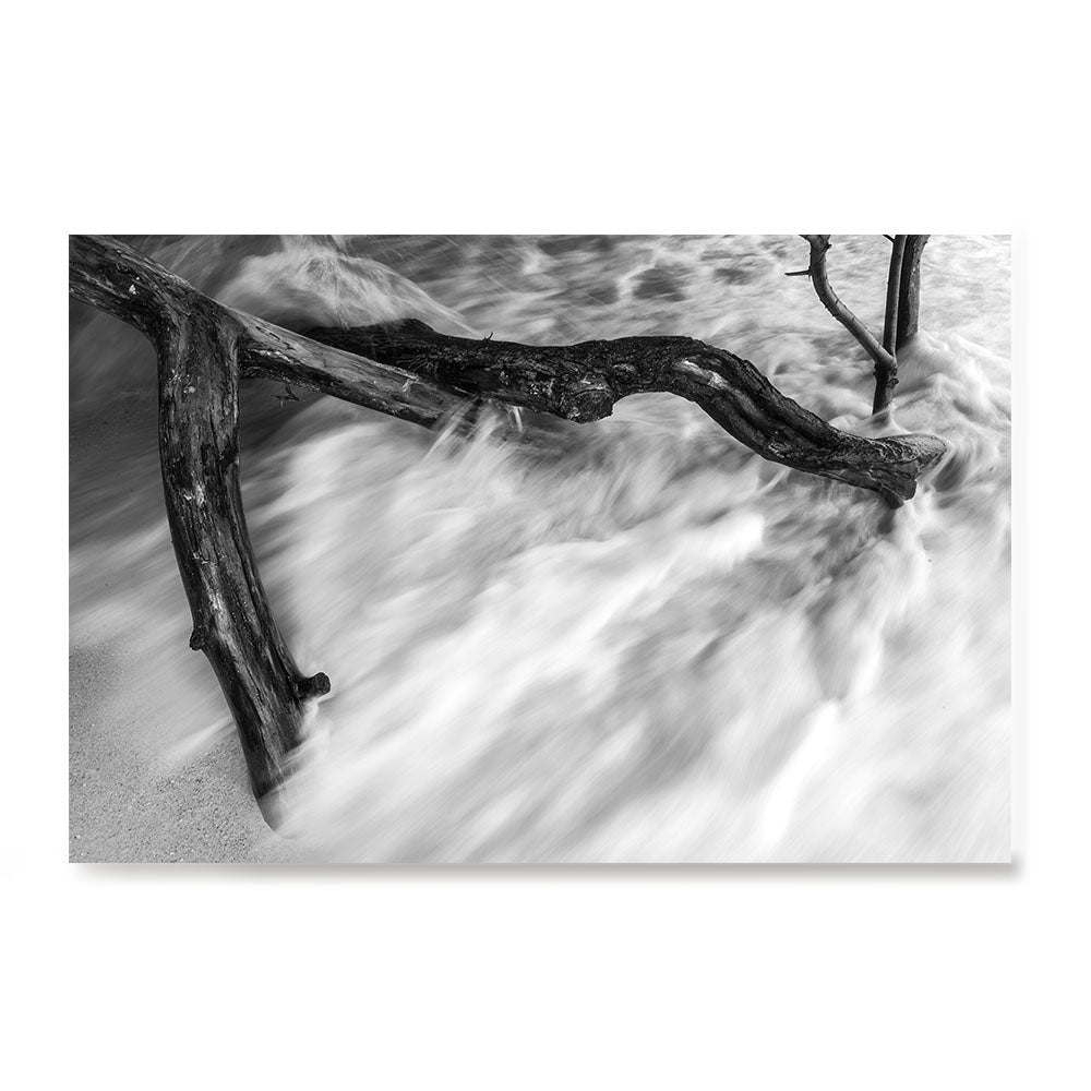 Ezposterprints - Wave Breaking Tree And Sand