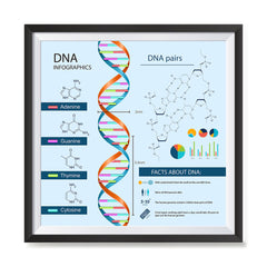 Ezposterprints - Facts About DNA Poster ambiance display photo sample