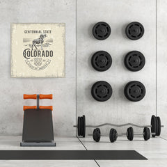 Ezposterprints - Colorado (CO) State Icon - 32x32 ambiance display photo sample