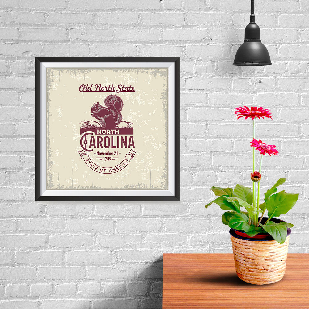 Ezposterprints - North Carolina (NC) State Icon - 10x10 ambiance display photo sample