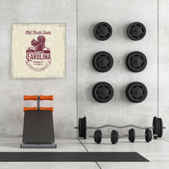 Ezposterprints - North Carolina (NC) State Icon - 32x32 ambiance display photo sample