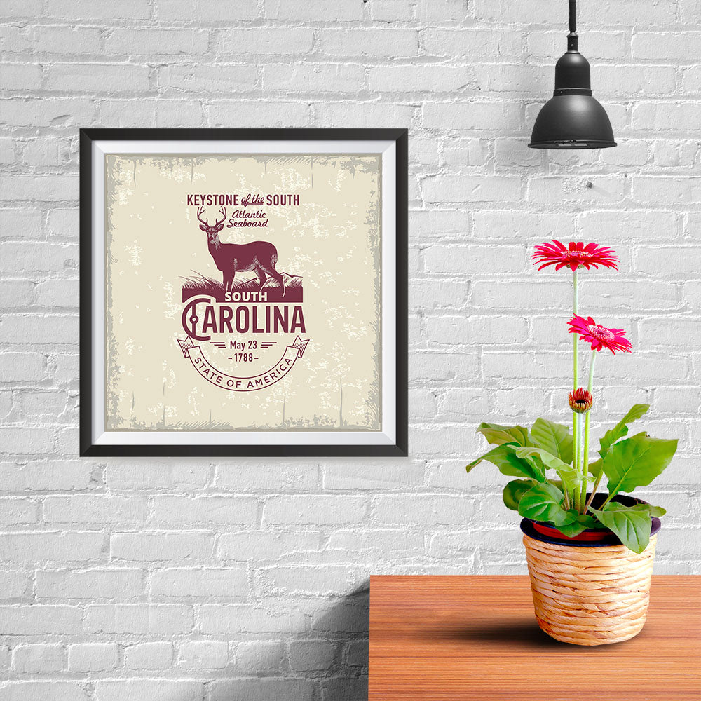 Ezposterprints - South Carolina (SC) State Icon - 10x10 ambiance display photo sample