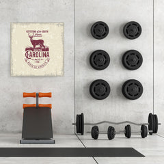 Ezposterprints - South Carolina (SC) State Icon - 32x32 ambiance display photo sample