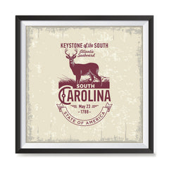 Ezposterprints - South Carolina (SC) State Icon general ambiance photo sample