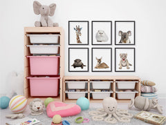 Adorable Portraits 1, Baby Animal Series ambiance display photo sample