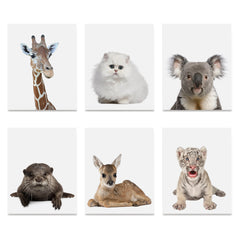 High quality Adorable Portraits 1, Baby Animal Series poster prints