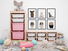 Adorable Portraits 2, Baby Animal Series ambiance display photo sample