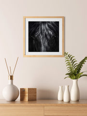 Black Beauty, Elegant Black White Red Sport Horses ambiance display photo sample