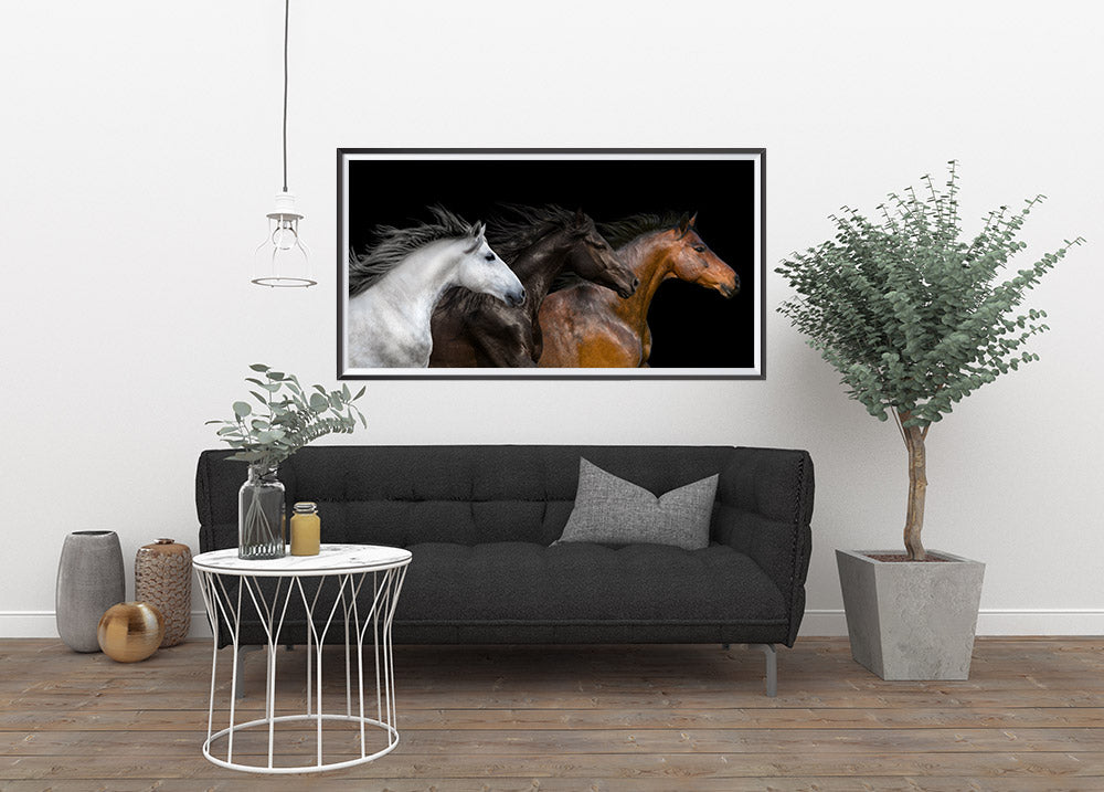 White, Black and Red, Elegant Black White Red Sport Horses ambiance display photo sample