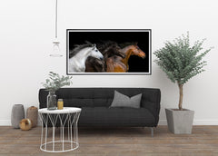 White, Black and Red, Elegant Black White Red Sport Horses ambiance display photo sample
