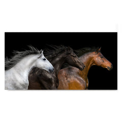 High quality White, Black and Red, Elegant Black White Red Sport Horses poster prints