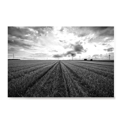 Ezposterprints - Crops And Windmills