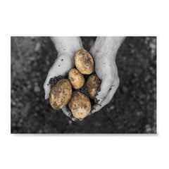 Ezposterprints - Freshly Dug Potatoes