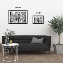 Ezposterprints - Leafless Trees ambiance display photo sample
