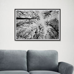 Ezposterprints - Looking Up - 24x16 ambiance display photo sample