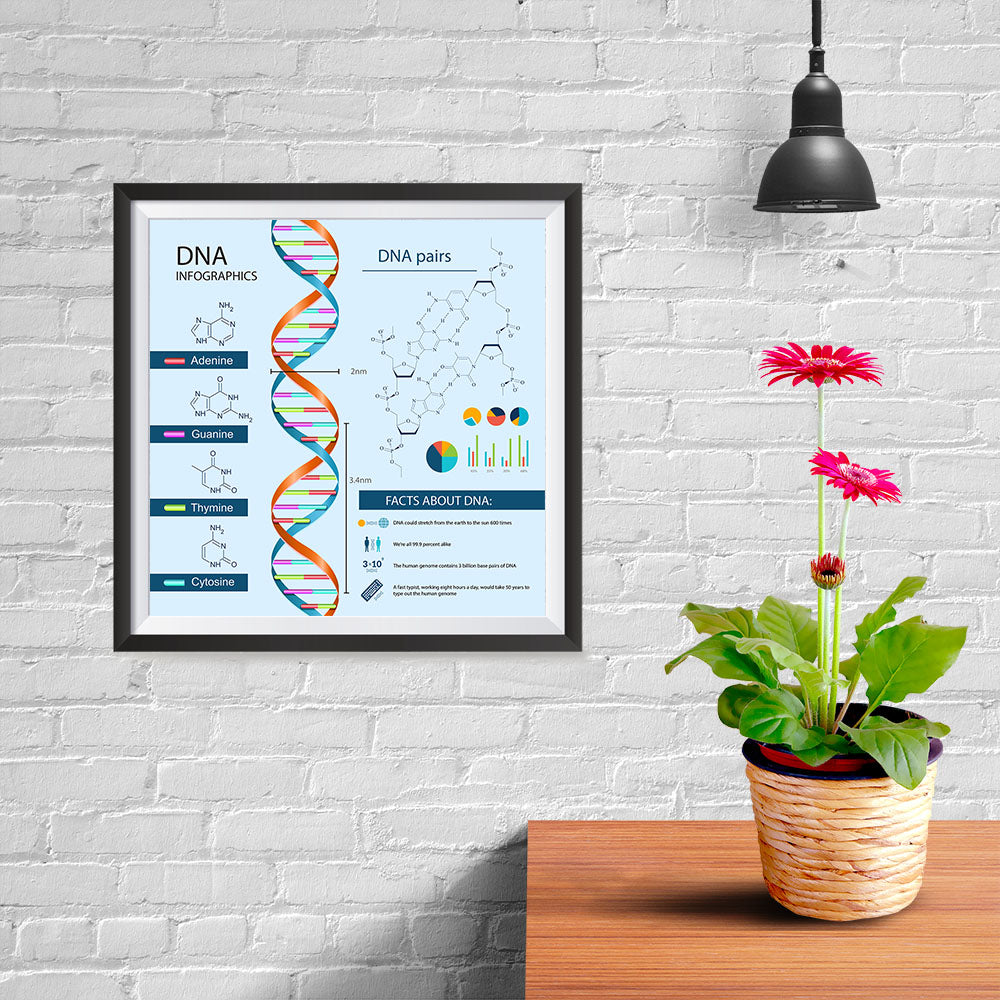 Ezposterprints - Facts About DNA Poster - 10x10 ambiance display photo sample