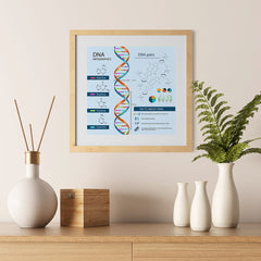 Ezposterprints - Facts About DNA Poster - 12x12 ambiance display photo sample