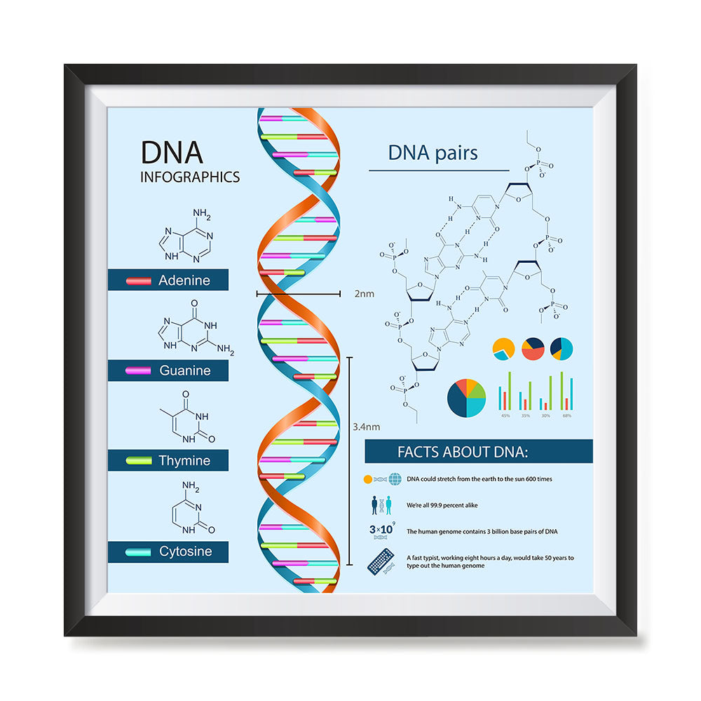 Facts About DNA Poster – EzPosterPrints