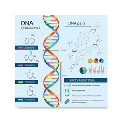 Ezposterprints - Facts About DNA Poster