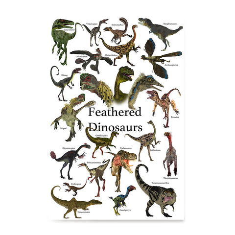 Ezposterprints - Feathered Dinosaurs - The World's Dinosaur Families Posters Collection