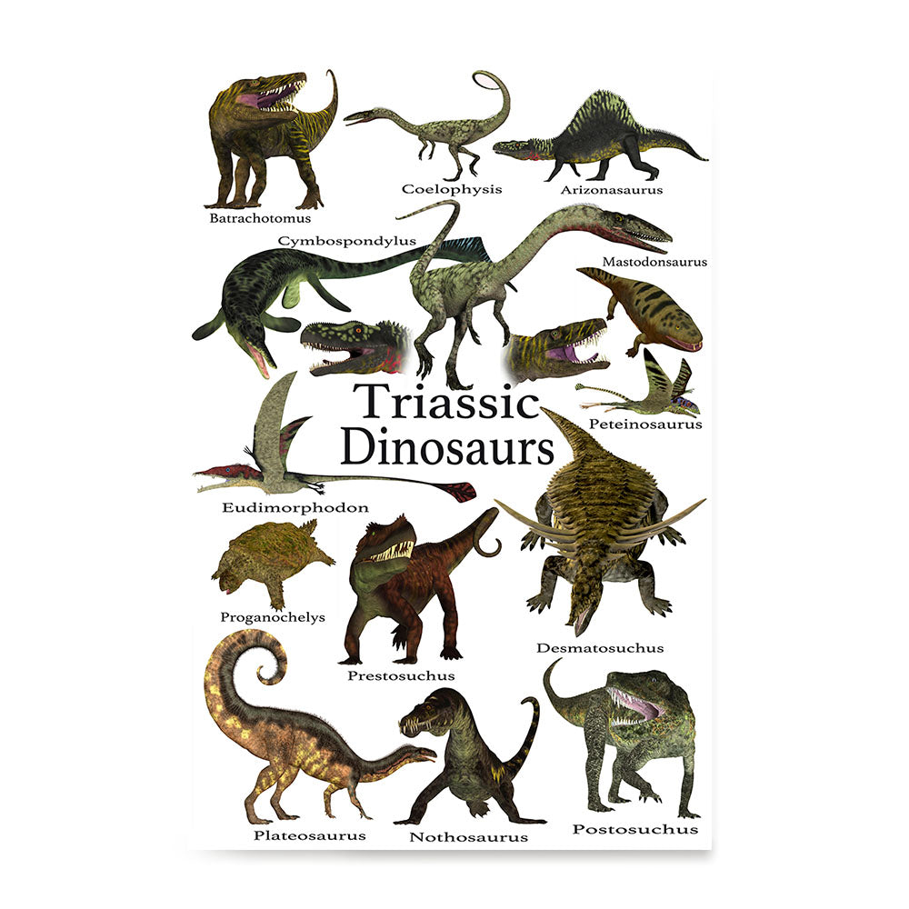Ezposterprints - Triassic Dinosaurs - The World's Dinosaur Families Posters Collection