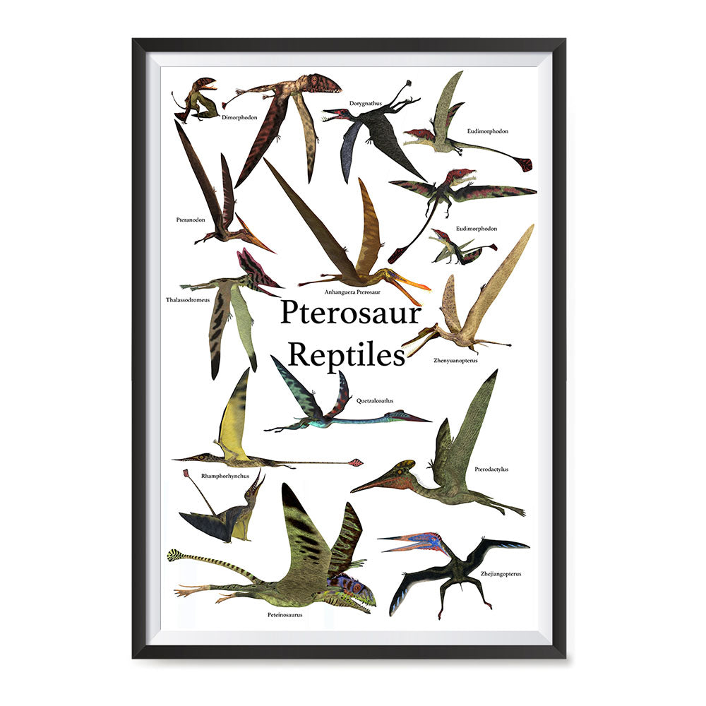 Pterosaur Reptiles Dinosaurs, The World's Dinosaur Families Posters ...