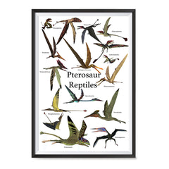 Ezposterprints - Pterosaur Reptiles Dinosaurs - The World's Dinosaur Families Posters Collection ambiance display photo sample