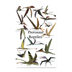 Ezposterprints - Pterosaur Reptiles Dinosaurs - The World's Dinosaur Families Posters Collection