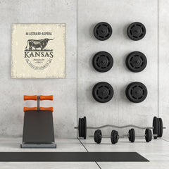 Ezposterprints - Kansas (KS) State Icon - 32x32 ambiance display photo sample
