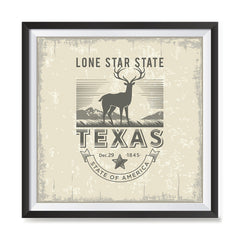 Ezposterprints - Texas (TX) State Icon general ambiance photo sample