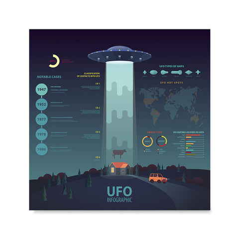 Ezposterprints - UFO Infographics Poster