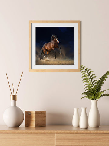 Galloping on Sand, Elegant Black White Red Sport Horses ambiance display photo sample