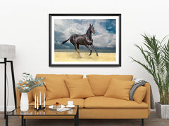 Horse On Sand, Elegant Black White Red Sport Horses ambiance display photo sample