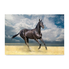 High quality Horse On Sand, Elegant Black White Red Sport Horses poster prints