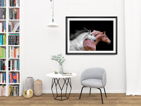 Red and White, Elegant Black White Red Sport Horses ambiance display photo sample